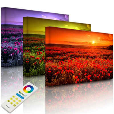lightbox-multicolor LED-Bild »Mohnblütenfeld bei traumhaftem Sonnenuntergang«