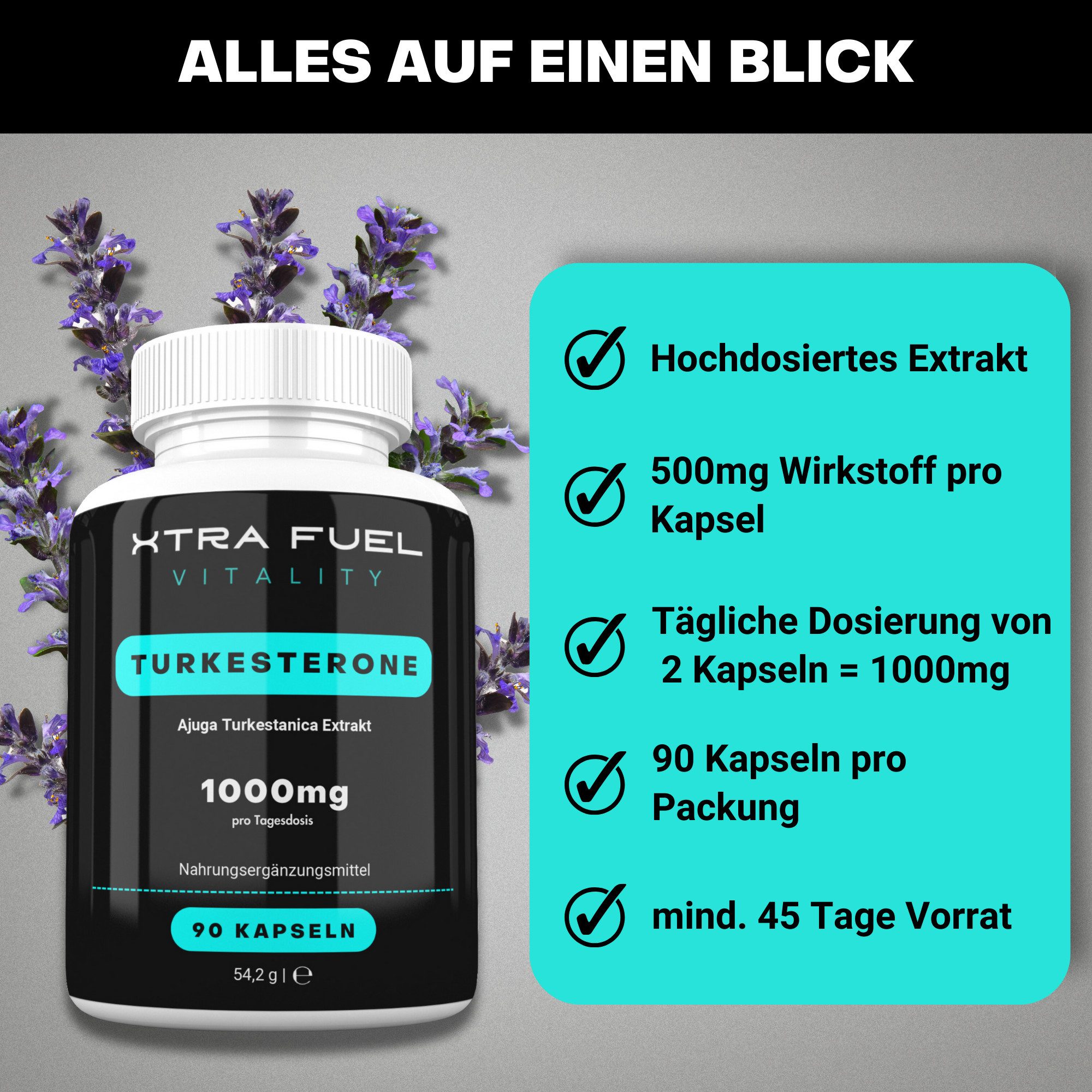XTRA FUEL Turkesterone (hochdosiert) - 1000mg - beliebt im Sport Kapseln, 162.6 g