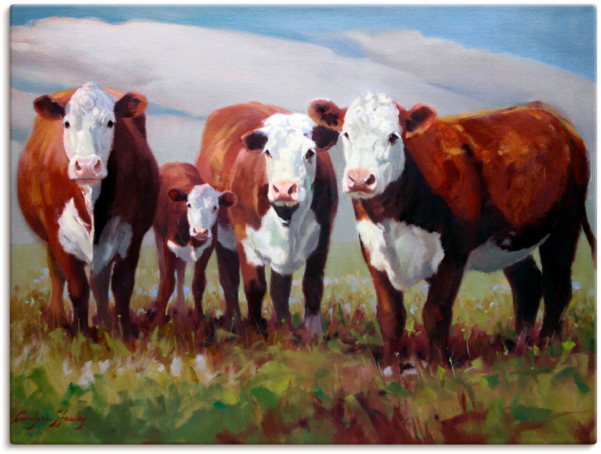 neuestes Design Artland Wandbild Zuhause der Größen Haustiere in oder als Leinwandbild, Kühe, St), (1 versch. Wandaufkleber Alubild, Poster