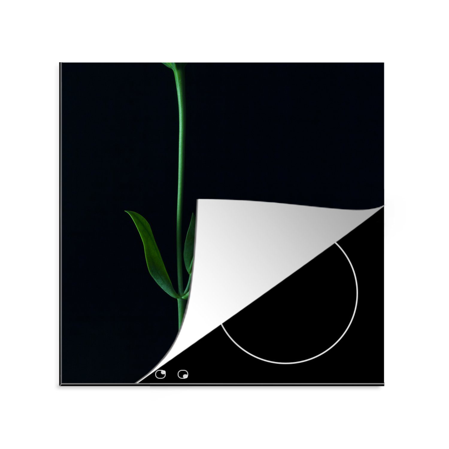 MuchoWow Herdblende-/Abdeckplatte Ein grüner Stiel mit zwei Blättern auf schwarzem Hintergrund, Vinyl, (1 tlg), 78x78 cm, Ceranfeldabdeckung, Arbeitsplatte für küche