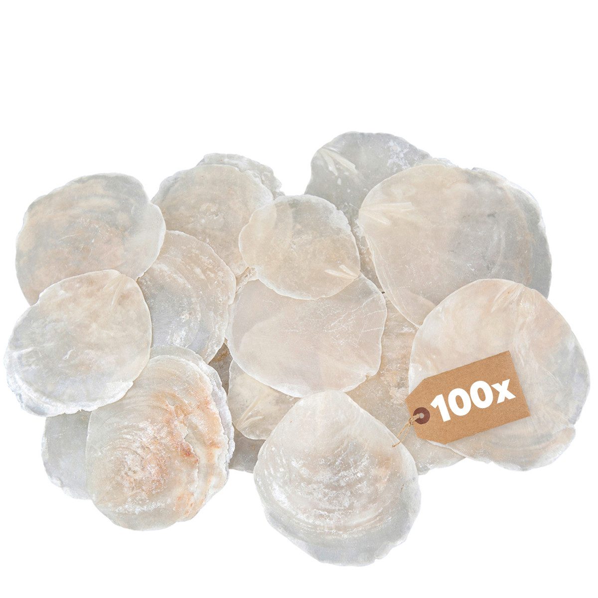 matches21 HOME & HOBBY Bastelnaturmaterial Capiz Muscheln Perlmutt-Scheiben 100 Stk. Ø 5 - 8 cm, (100-tlg), Große Streudeko Muscheln zum Basteln Dekorieren