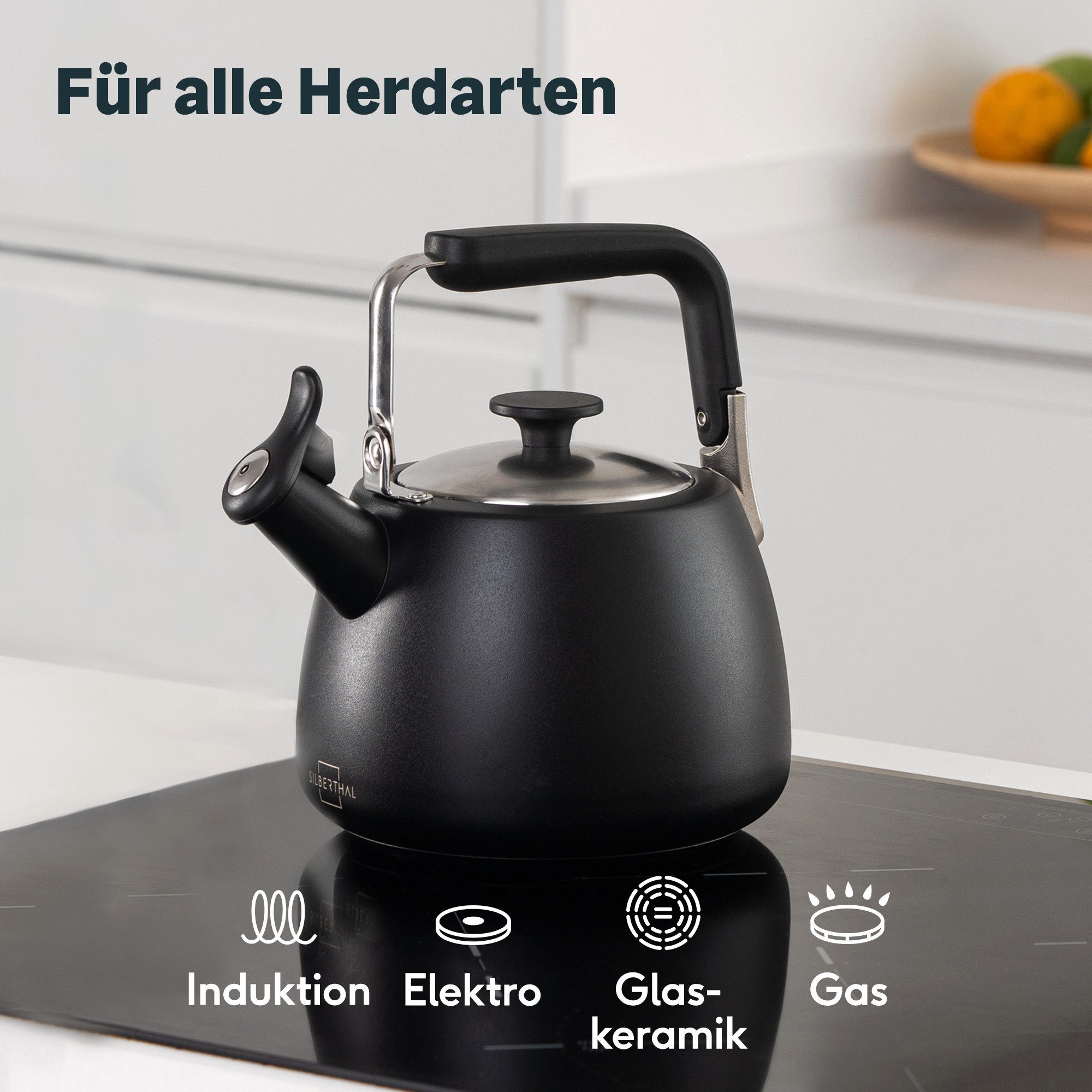 SILBERTHAL Wasserkessel Flötenkessel schwarz 3L