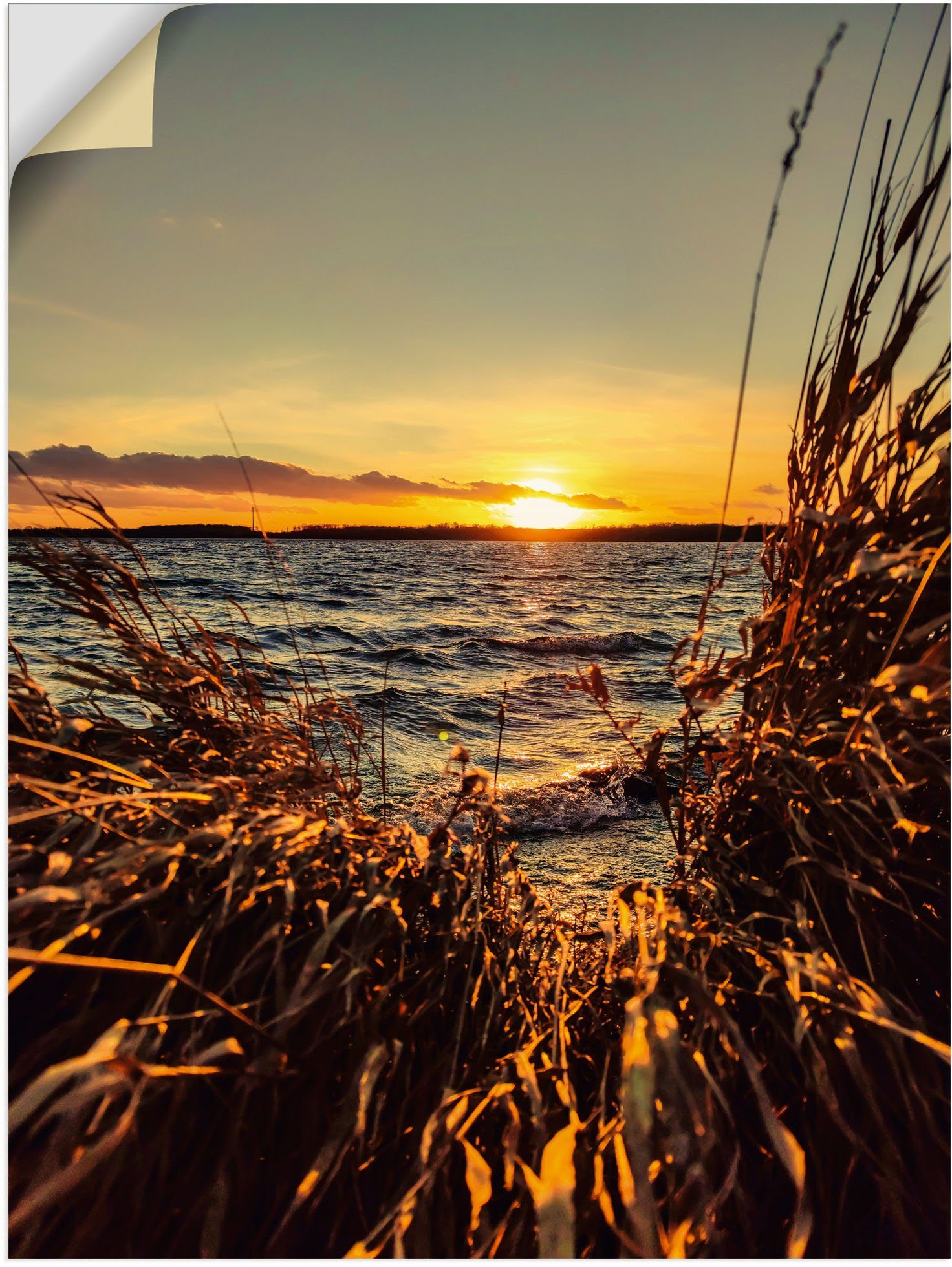 Artland Wandbild Sonnenuntergang am See im Schilf, Gewässer (1 St), als Alubild, Leinwandbild, Wandaufkleber oder Poster in versch. Größen orange