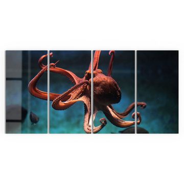 DEQORI Glasbild 'Oktopus im Wasser', 'Oktopus im Wasser', Glas Wandbild Bild schwebend modern