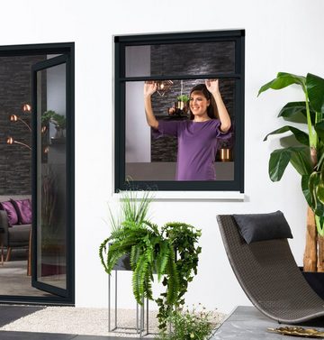 hecht international Insektenschutz-Fensterrahmen SMART, 100x160 cm, kürzbar
