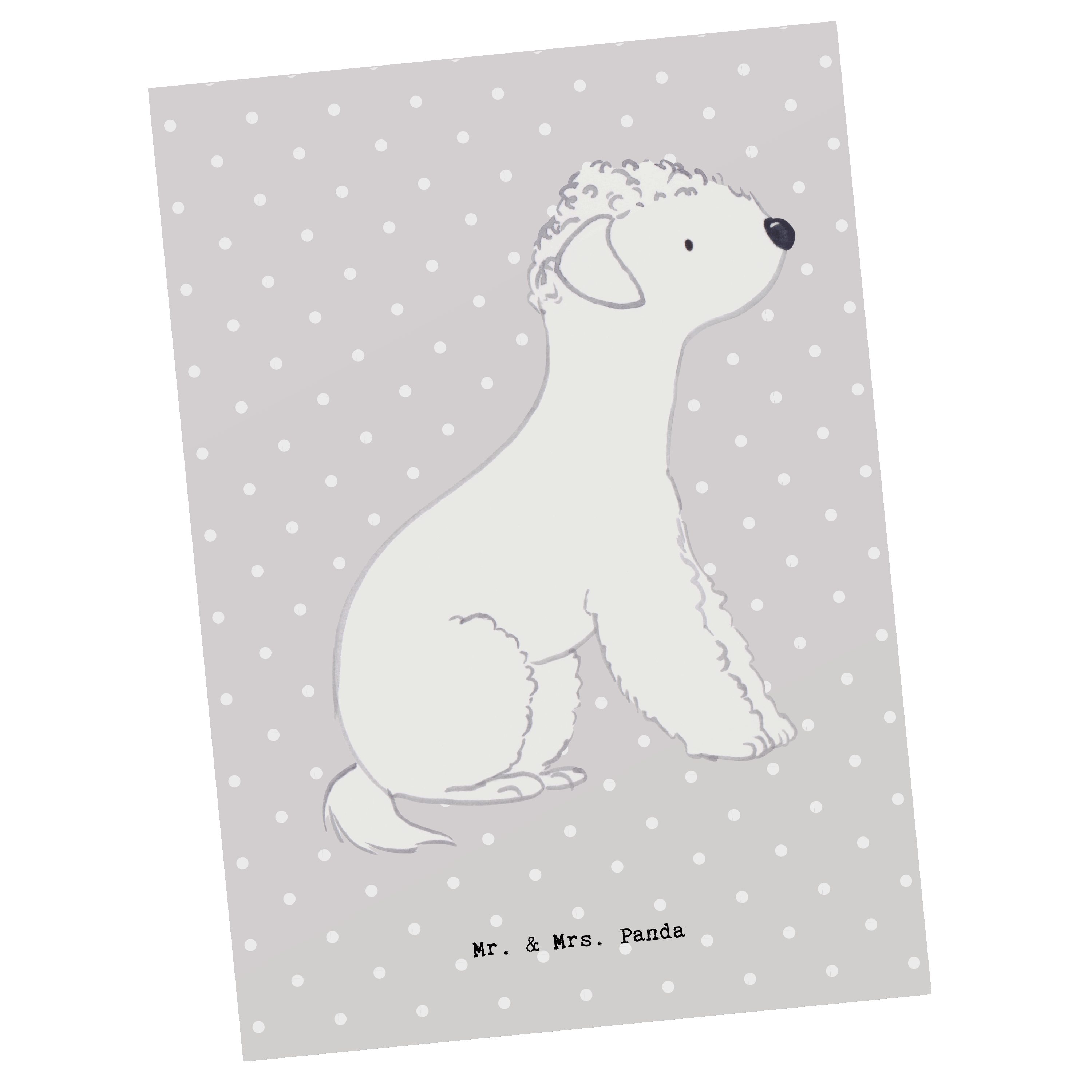 Mr. & Mrs. Panda Postkarte Bedlington Terrier Lebensretter - Grau Pastell - Geschenk, Grußkarte