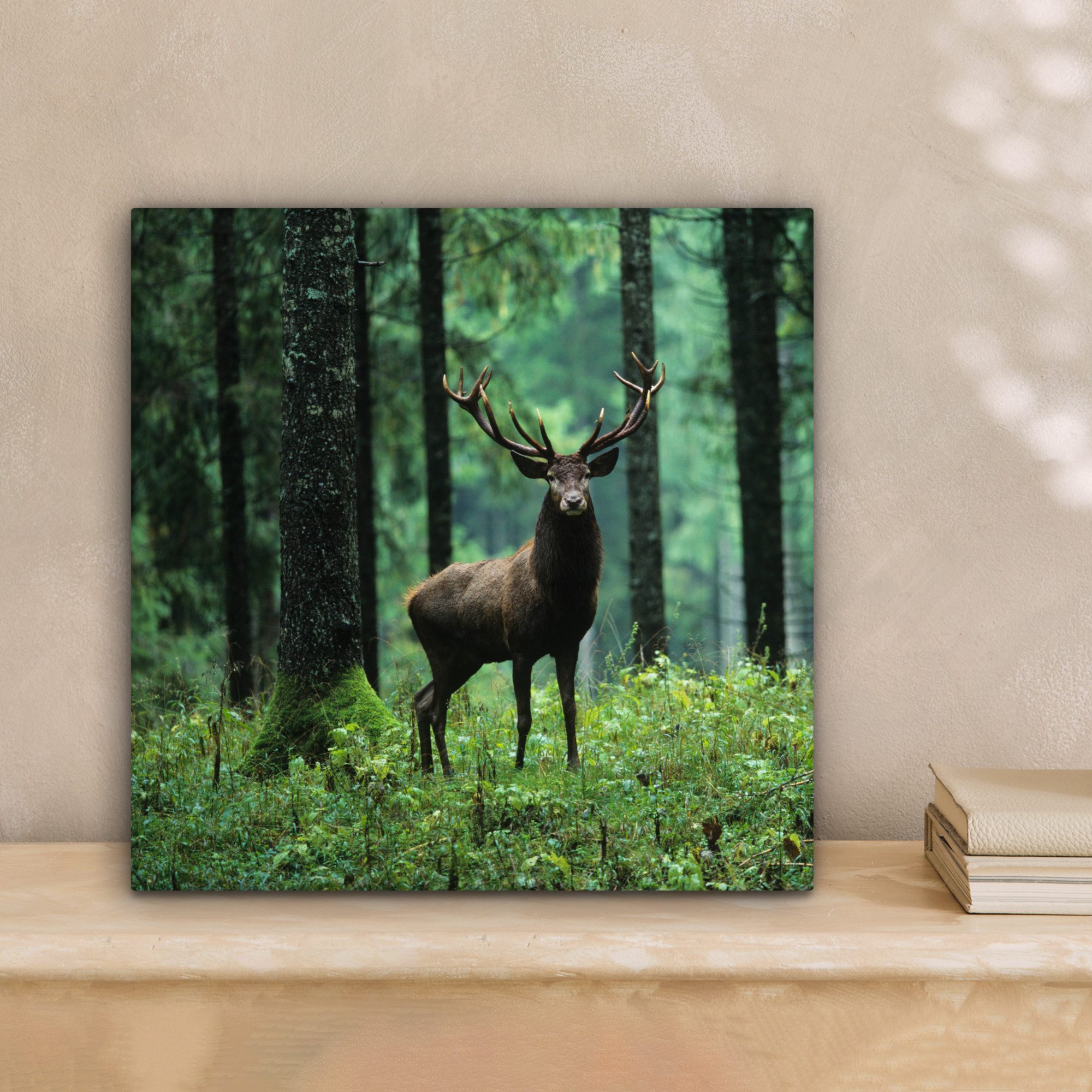 OneMillionCanvasses® Leinwandbild Hirsche - Wald - Bäume - Tiere - Natur, Fotodruck (1 St), Wandbild, Deko Schlafzimmer Wohnzimmer Flur 20x20 cm