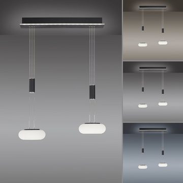 Paul Neuhaus Smarte LED-Leuchte LED Pendellampe Q ETIENNE Smart Home, Smart Home, CCT-Farbtemperaturregelung, RGB-Farbwechsel, Dimmfunktion, Memoryfunktion, mit Leuchtmittel, dimmbar Fernbedienung höhenverstellbar CCT Pendel