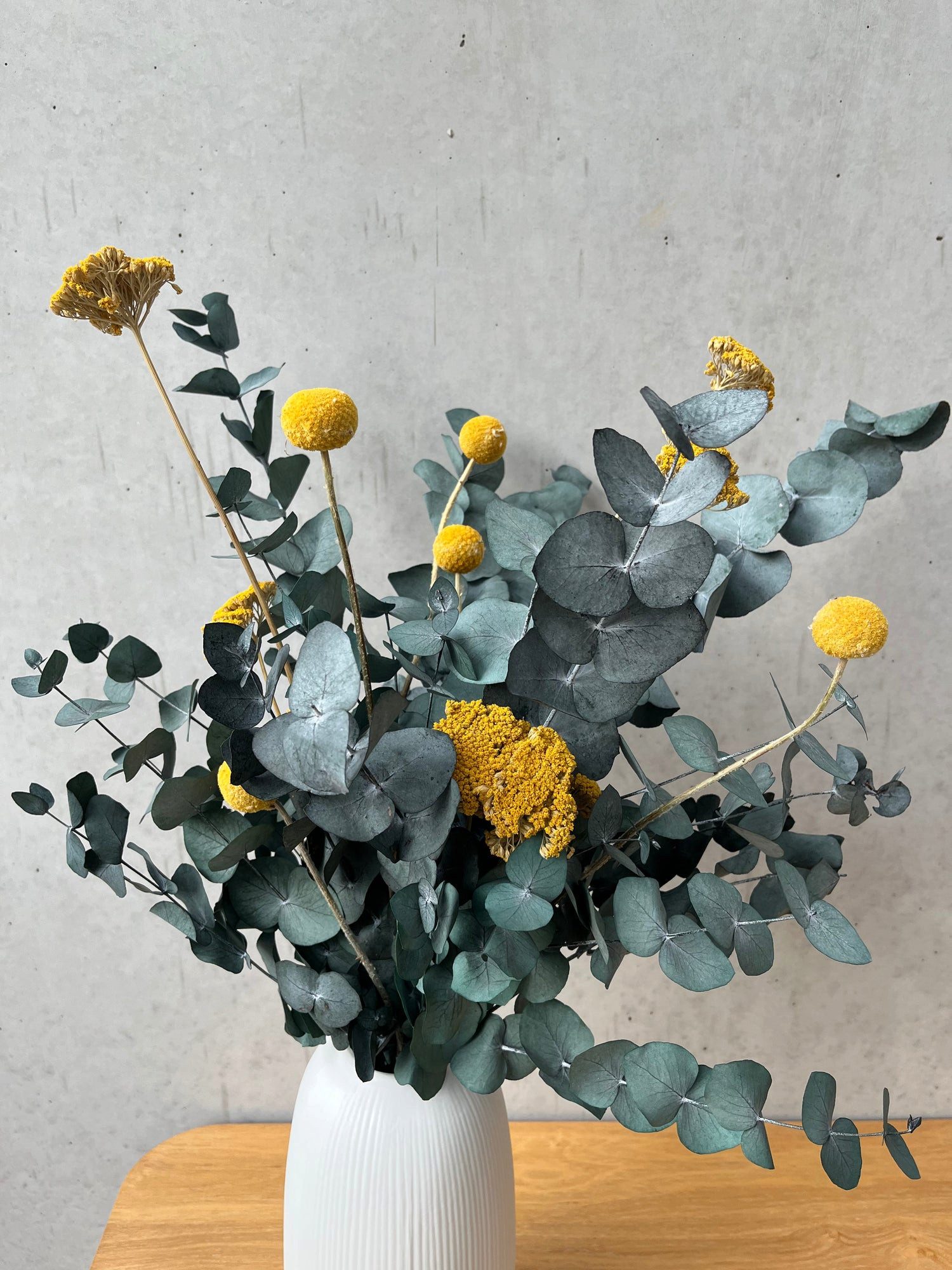 Trockenblume Pop of Color Eukalyptus, Craspedia, günstig online kaufen