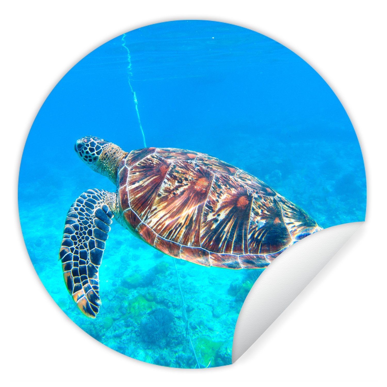 MuchoWow Wandsticker Meer - Schildkröte - Wasser (1 St), Tapetenkreis für Kinderzimmer, Tapetenaufkleber, Rund, Wohnzimmer