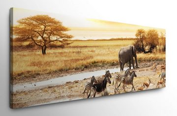 möbel-direkt.de Leinwandbild Bilder XXL Savanne in Afrika Wandbild auf Leinwand