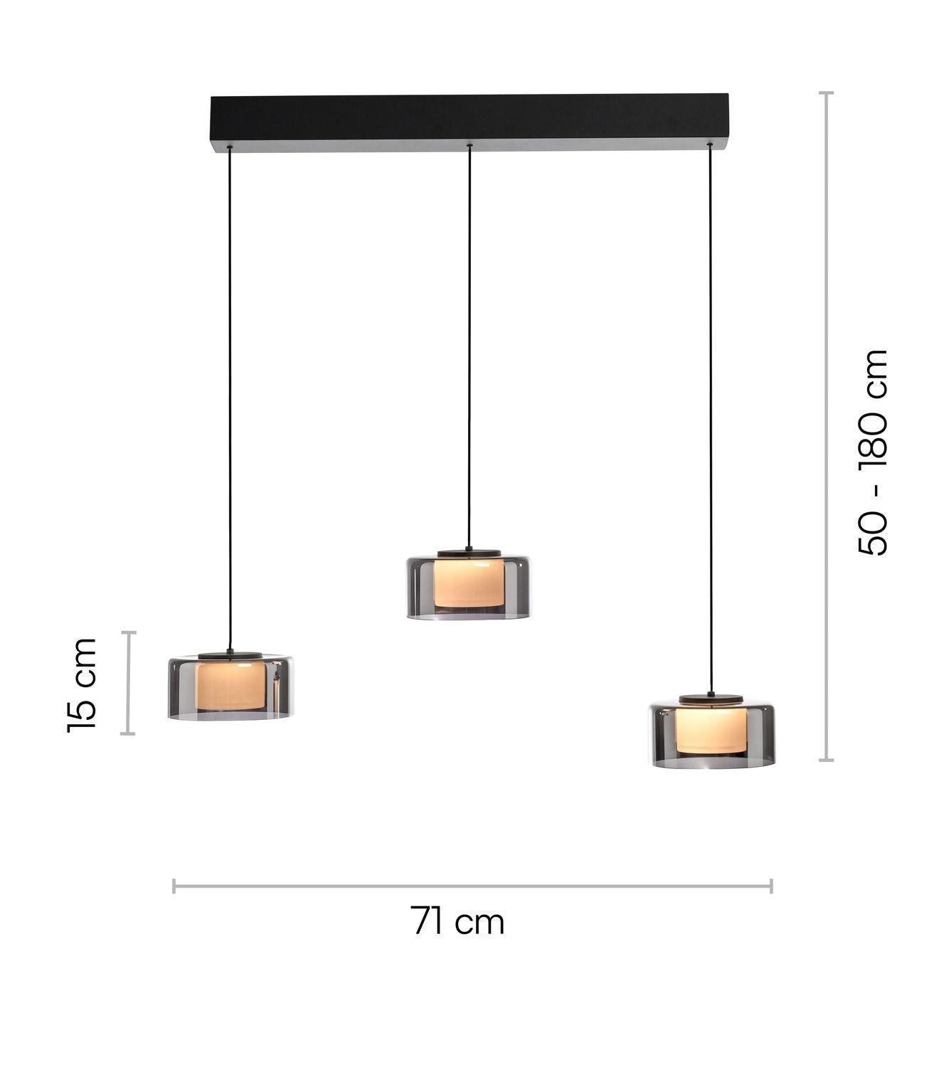 Paul Neuhaus LED Pendelleuchte RIKA, 3-flammig, Rauchfarben, Schwarz, Metall, Dimmfunktion, Memoryfunktion, LED fest integriert, Extra-Warmweiß, Lampenschirme aus Glas, Höhenverstellbar, B 71 x H 180 x T 15 cm