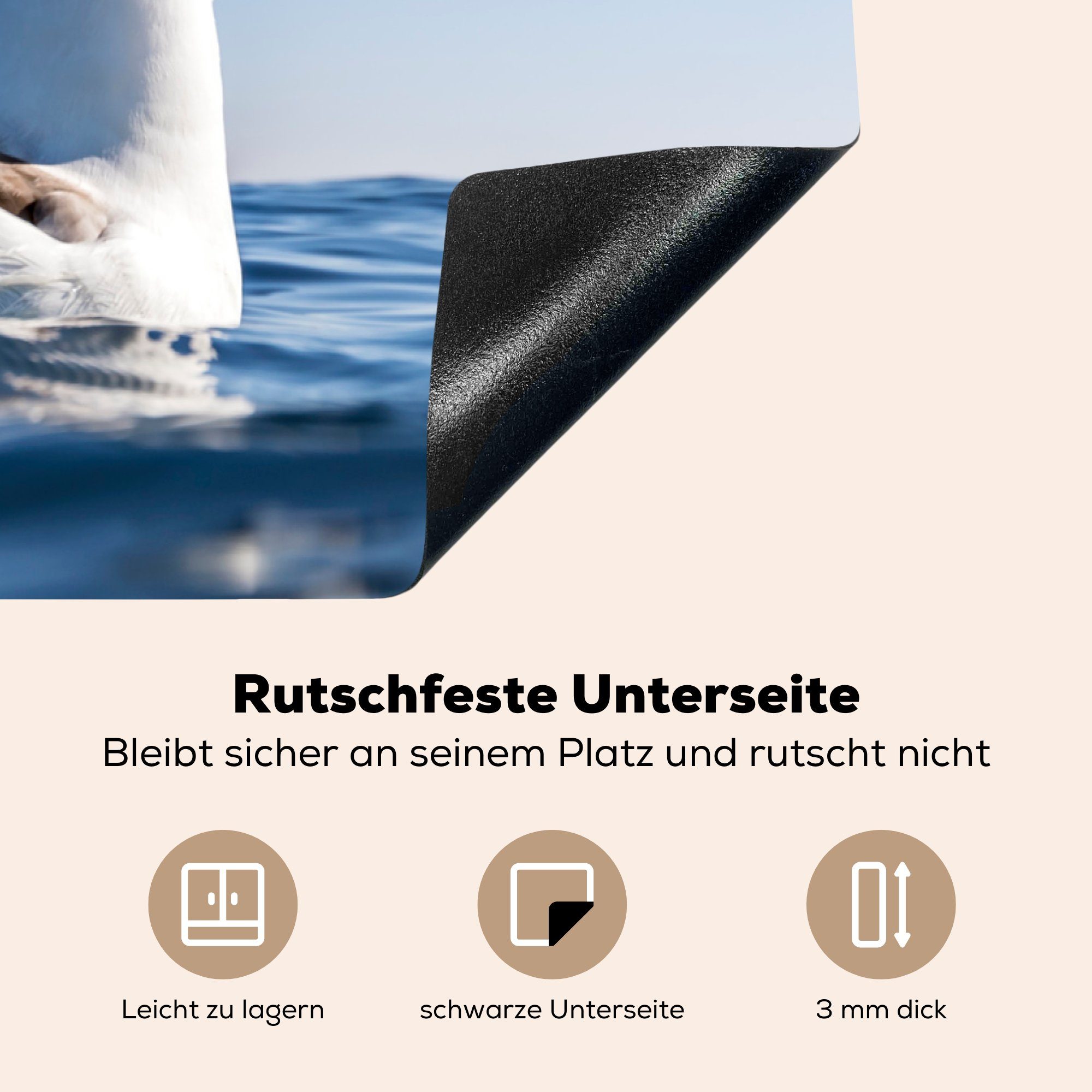 MuchoWow Herdblende-/Abdeckplatte Albatros - cm, - (1 Vinyl, 81x52 Ceranfeldabdeckung Meer, die für Vogel Induktionskochfeld tlg), küche, Schutz