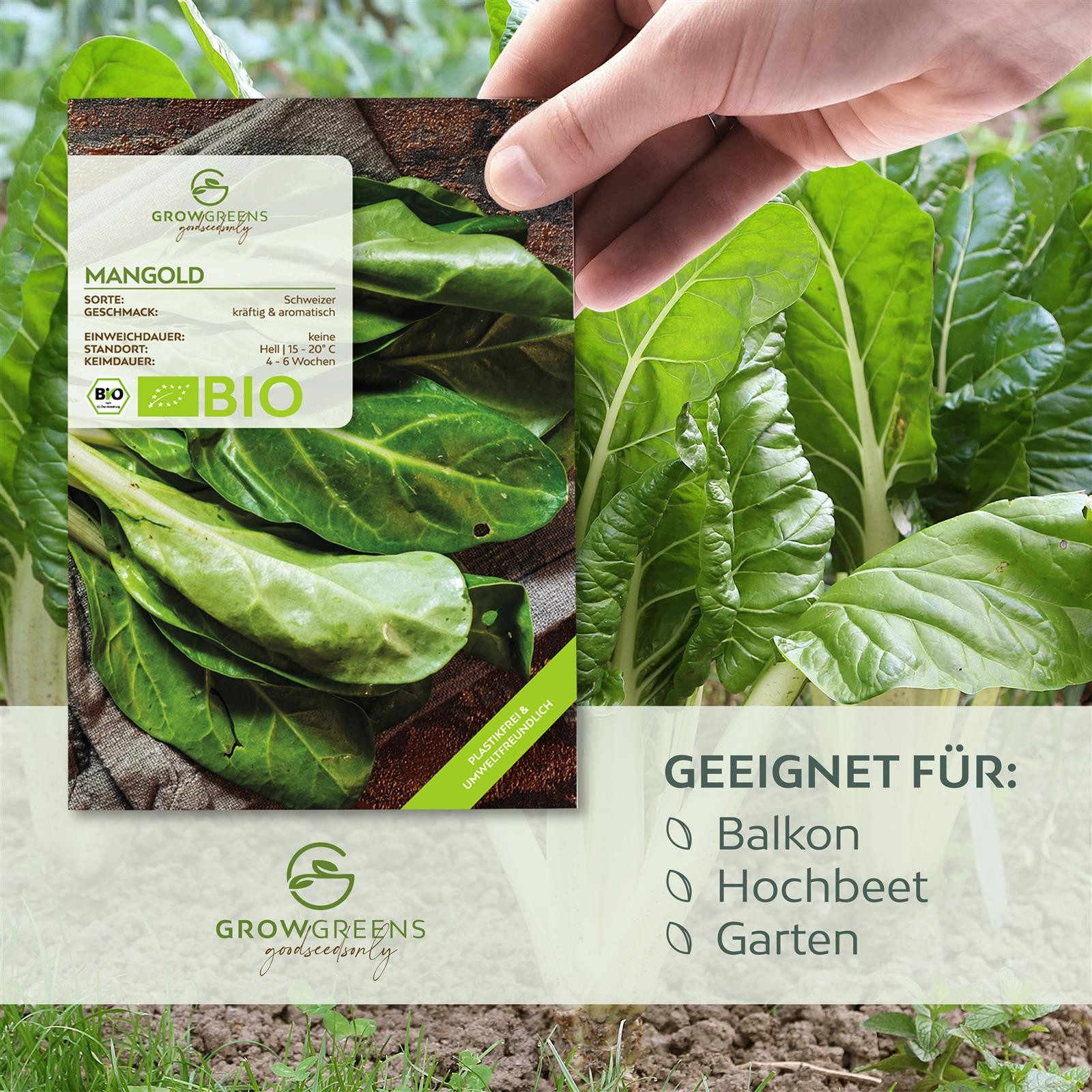 Growgreens Gemüsesamen BIO Mangold Samen (Schweizer) günstig online kaufen