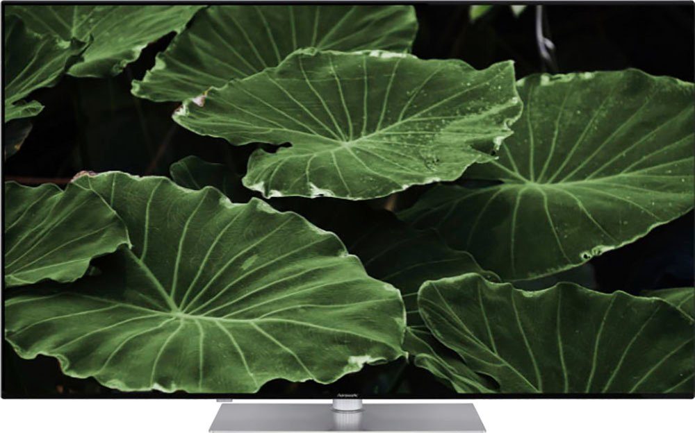 Zoll, 4K LED-Fernseher Smart-TV) TV, (164 cm/65 Hanseatic Ultra HD, 65U800UDS Android