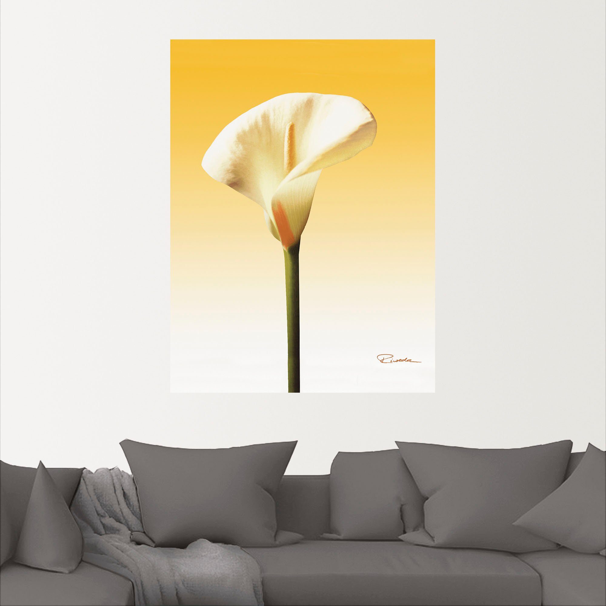 Artland Wandbild Sonnenschein Calla II, Blumenbilder (1 St), als Alubild,  Leinwandbild, Wandaufkleber oder Poster in versch. Größen