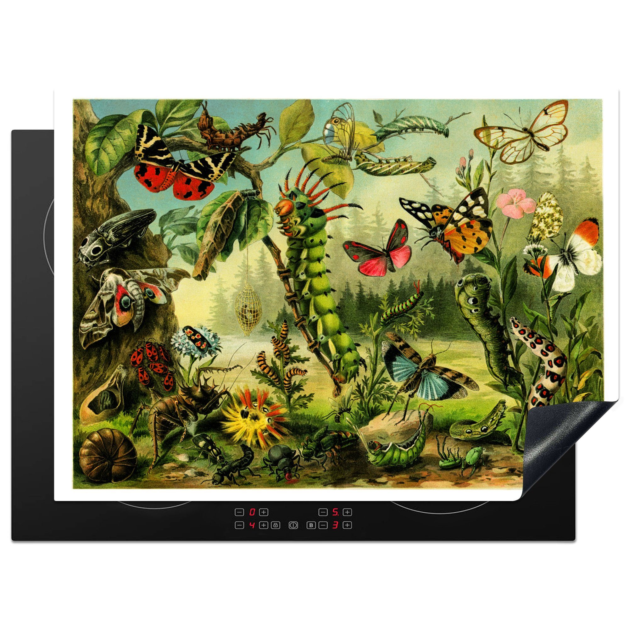 MuchoWow Herdblende-/Abdeckplatte Botanische Illustration Schmetterlinge und Raupen, Vinyl, (1 tlg), 70x52 cm, Mobile Arbeitsfläche nutzbar, Ceranfeldabdeckung