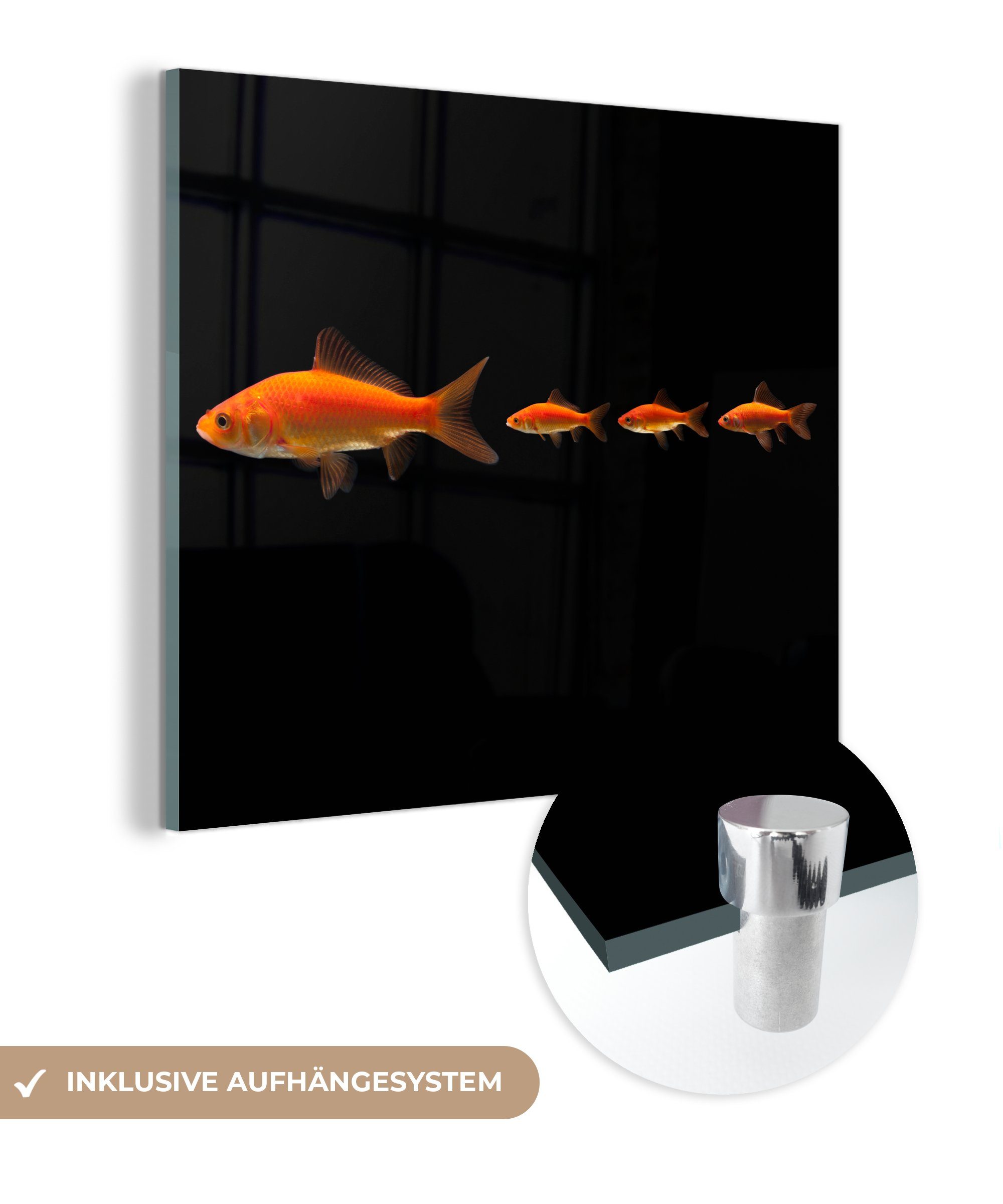 St), auf (1 Glasbilder Glas - Goldfisch-Reihe, Bilder Wandbild Wanddekoration - - Acrylglasbild Foto MuchoWow Glas auf