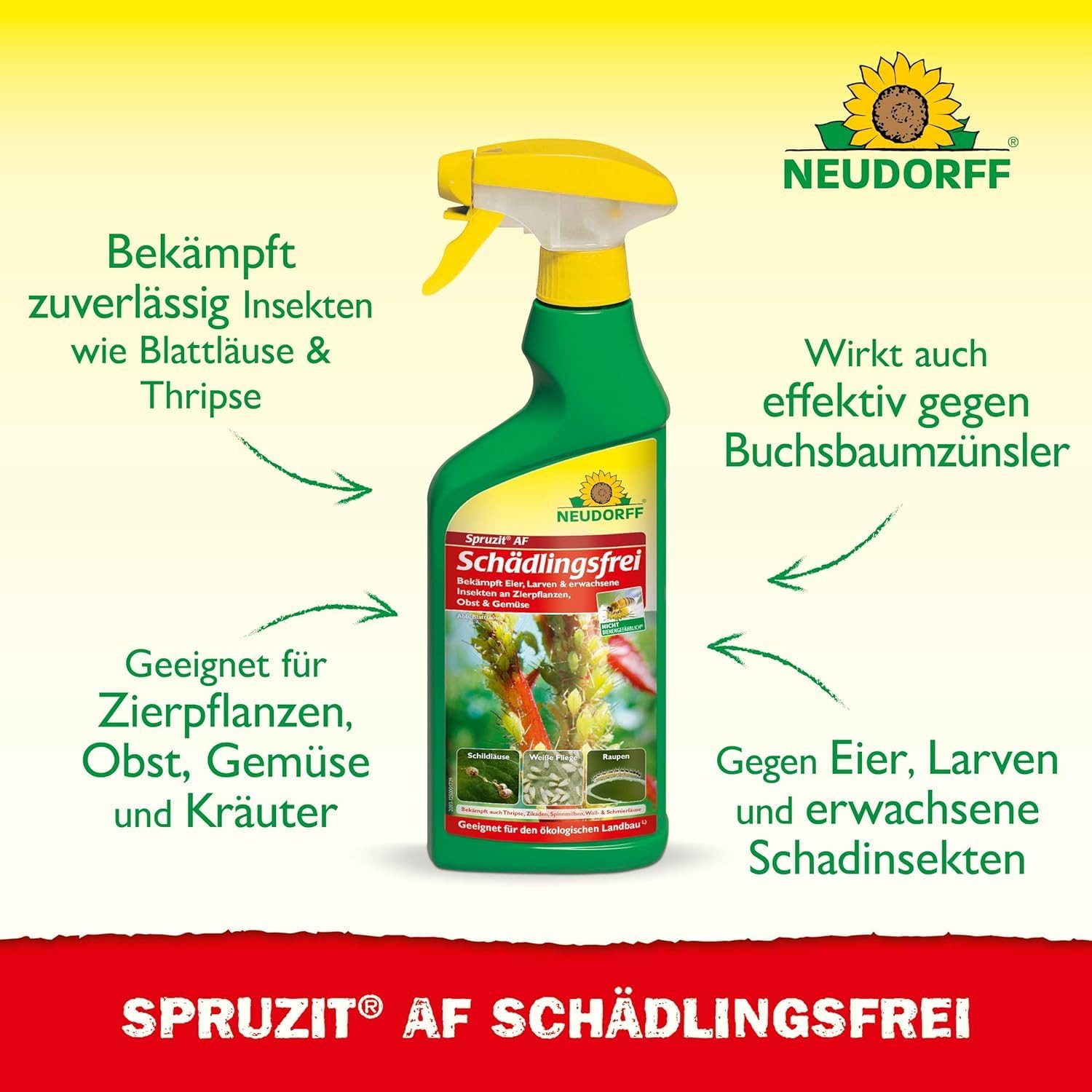Neudorff Insektenspray Insektenspray Spruzit AF Schädlingsfrei 500ml, 500 ml, Einsetzbar an Zierpflanzen, Gemüse, Obst und Kräutern, Mit Pyrethrinen & Rapsöl, nicht bienengefährlich (B4)
