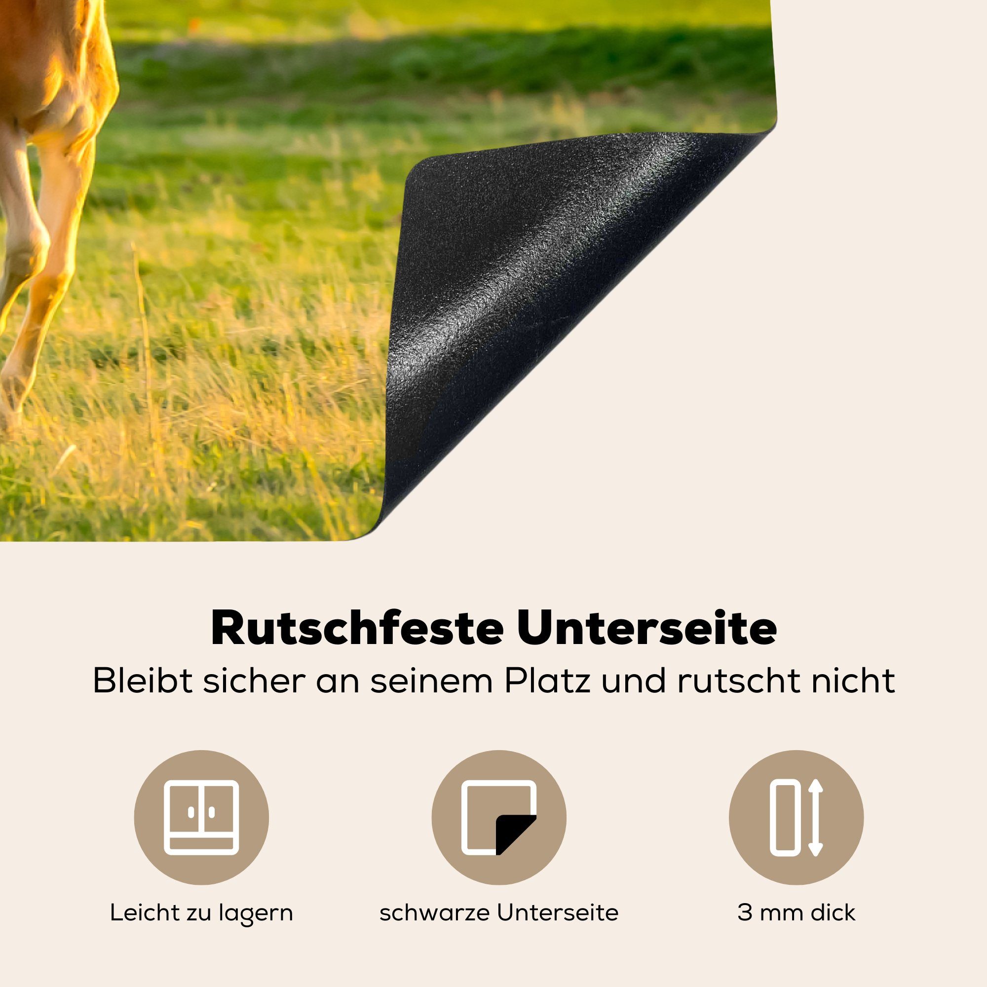 Pferde Natur, - für - MuchoWow Arbeitsplatte Gras Herdblende-/Abdeckplatte (1 cm, Ceranfeldabdeckung, Landschaft Tiere Vinyl, küche - 81x52 - tlg),