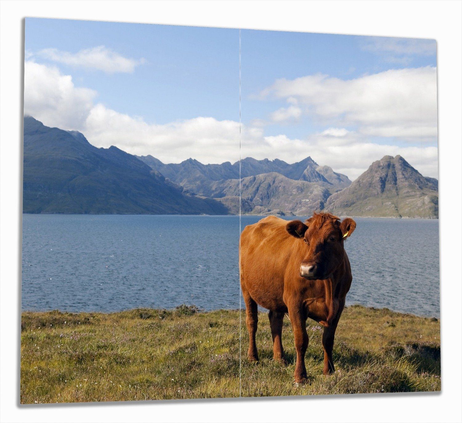 Wallario Herd-Abdeckplatte Kuh in den Bergen, ESG-Sicherheitsglas, (Glasplatte, 2 tlg., inkl. 5mm Noppen), verschiedene Größen