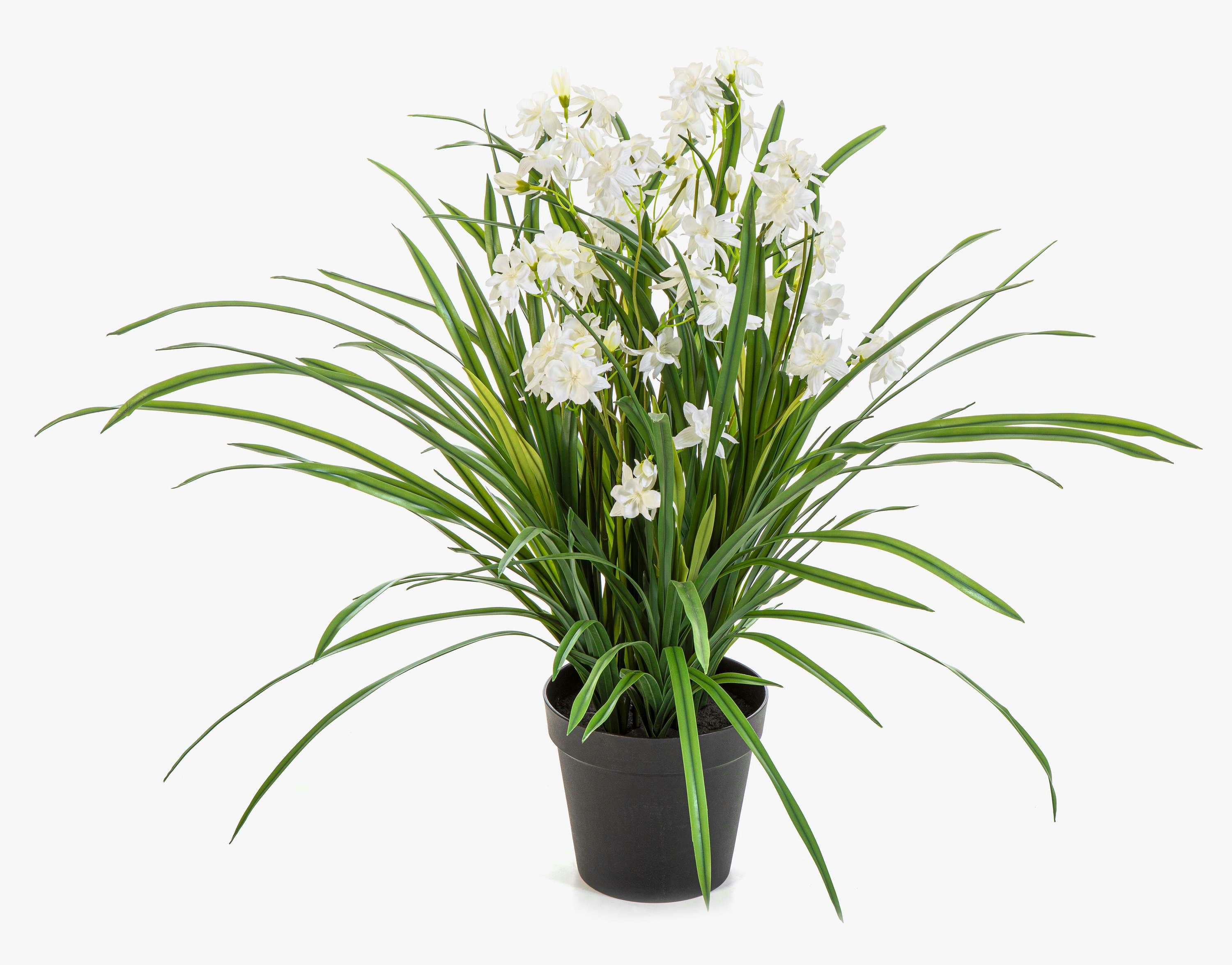 Kunstorchidee Künstliche Orchidee JANILA im Dekotopf, weiß, 85cm Orchidee (Orchidee cymbidium), artplants, Höhe 85.0 cm