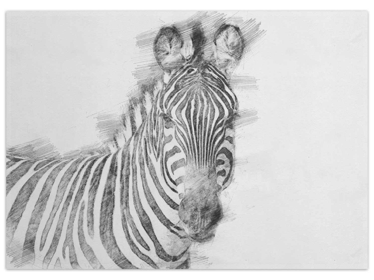 Teppich Zebra in schwarz weiß - Bleistift Zeichnung, Wallario, rechteckig, rutschfest