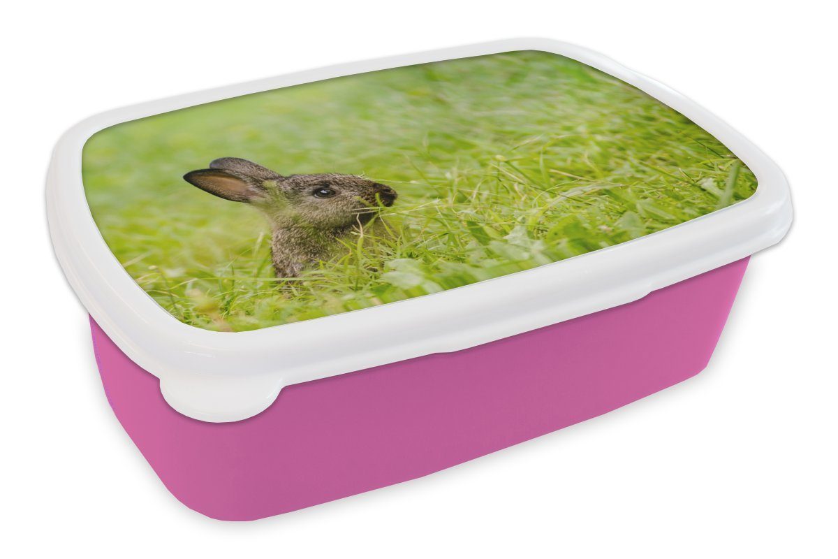 Mädchen, Kunststoff, für Lunchbox Kunststoff Snackbox, MuchoWow - Brotdose Kaninchen Baby - Kinder, rosa Gras, Erwachsene, (2-tlg), Brotbox