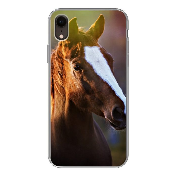 MuchoWow Handyhülle Porträt eines braunen Pferdes in der Sonne Handyhülle Apple iPhone XR Smartphone-Bumper Print Handy