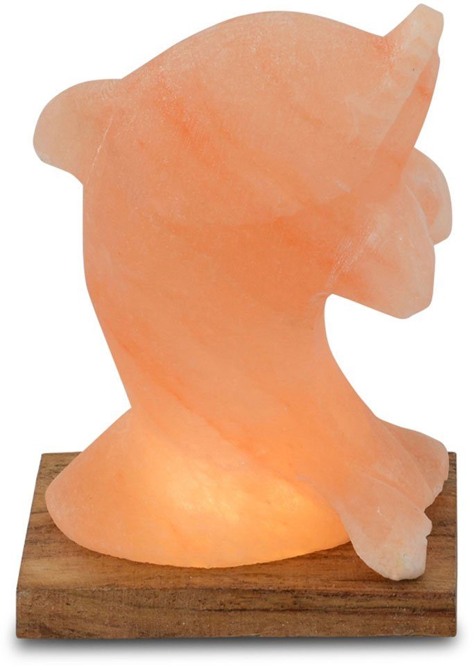 HIMALAYA SALT DREAMS Unikat, Stein Warmweiß, LED jeder ca.15 Delfin, Salzkristall - aus ein H: Salzkristall-Tischlampe wechselbar, Handgefertigt cm