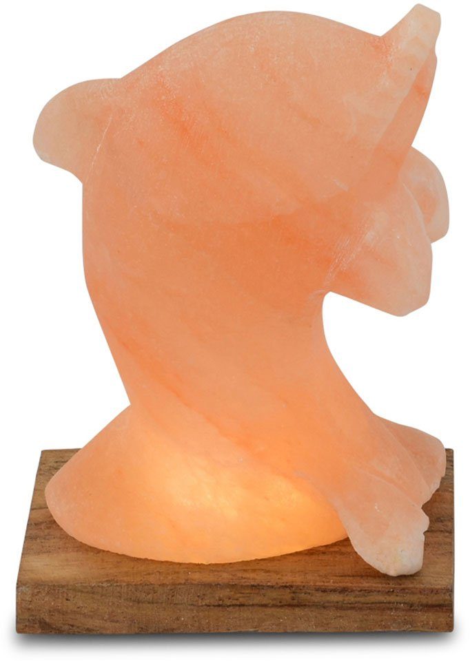 HIMALAYA SALT DREAMS Salzkristall-Tischlampe Delfin, Handgefertigt Unikat, ein cm, Warmweiß, jeder H: Stein ca.15 aus Naturbeschaffenheit wechselbar, Salzkristall - LED