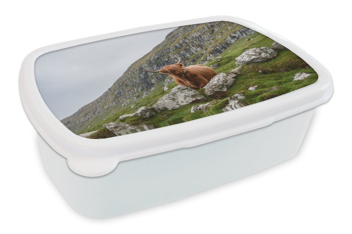 weiß Mädchen (2-tlg), Jungs Kinder und Erwachsene, und Brotdose, Tiere - Schottische für Highlander - Lunchbox Brotbox Kunststoff, MuchoWow für Schottland,
