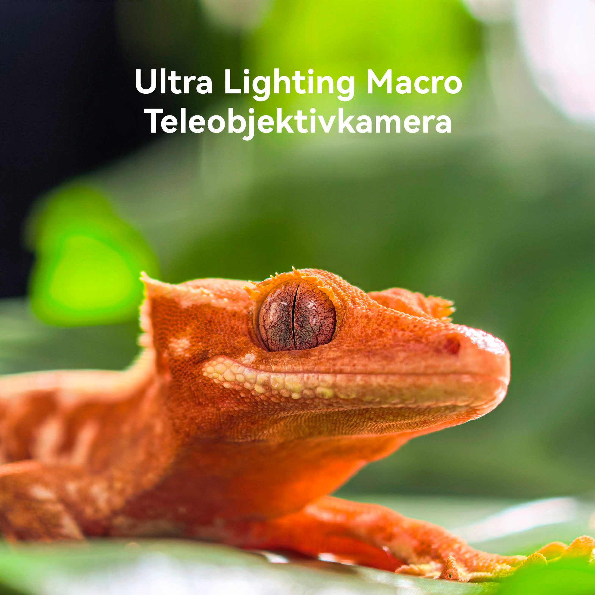 Huawei Pura 80 Pro Smartphone (17,27 cm/6,8 Zoll, 50 MP Kamera)