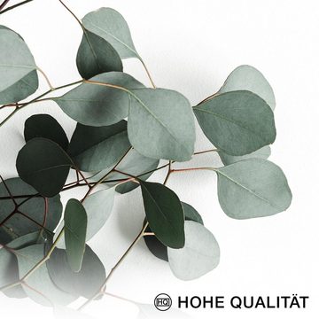 Novart Wandbild Eukalyptus Pflanze Grüne Blätter - KEIN EXTRA RAHMEN BENÖTIGT