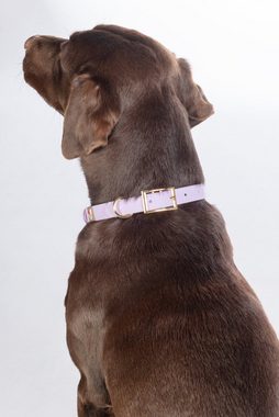 HKM Dogs Hunde-Halsband Hundehalsband -Amitye-