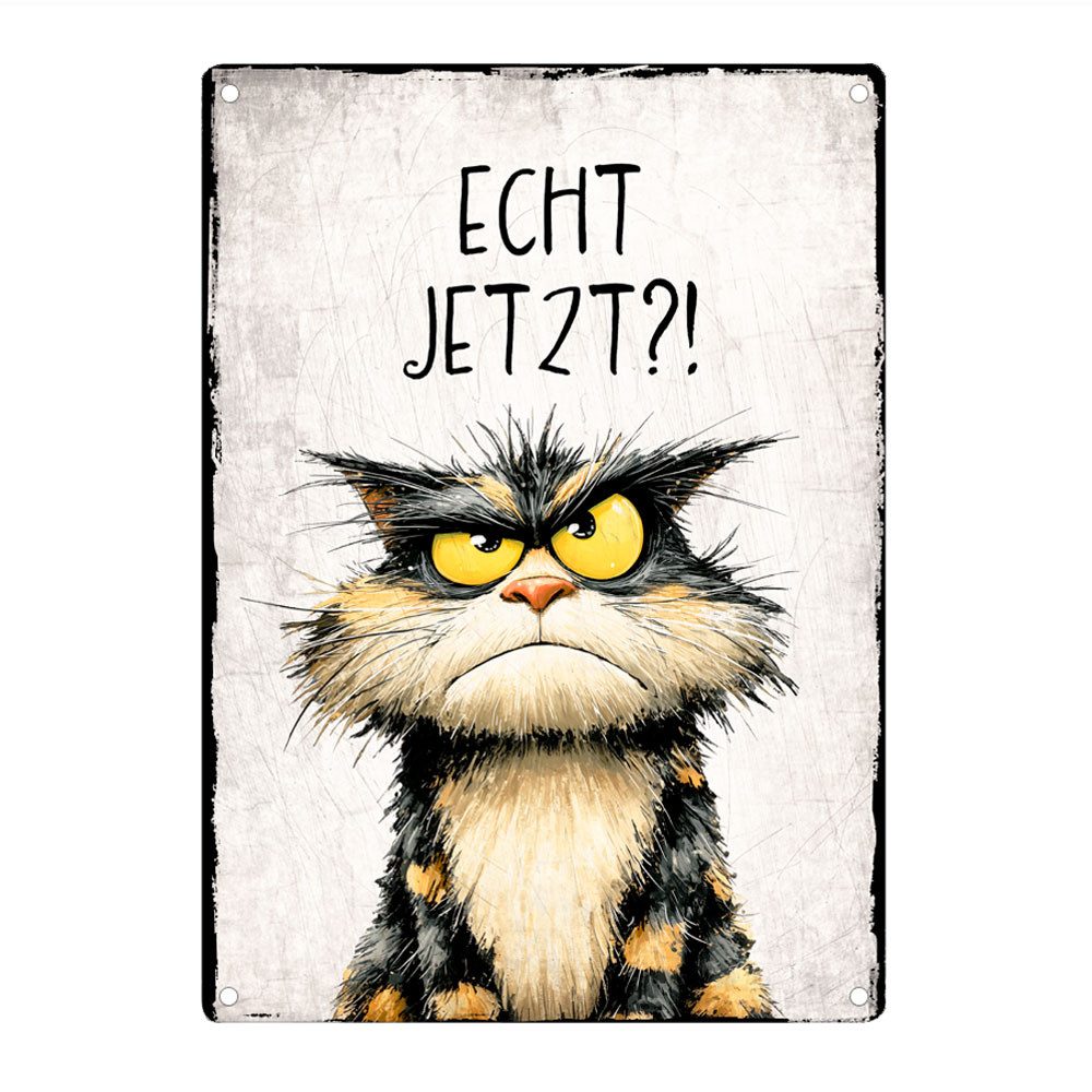 Metallschild ECHT JETZT?! - Dekoschild mit Spruch, Blechschild