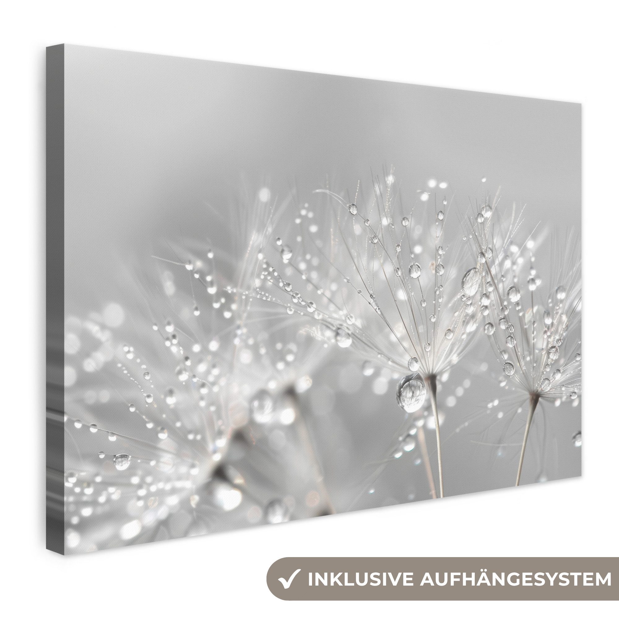 OneMillionCanvasses® Leinwandbild Löwenzahn - Wassertropfen - Stilleben - Modern, Fotodruck (1 St), Leinwand Bilder Klein, Wand Dekoration Aesthetic 30x20 cm