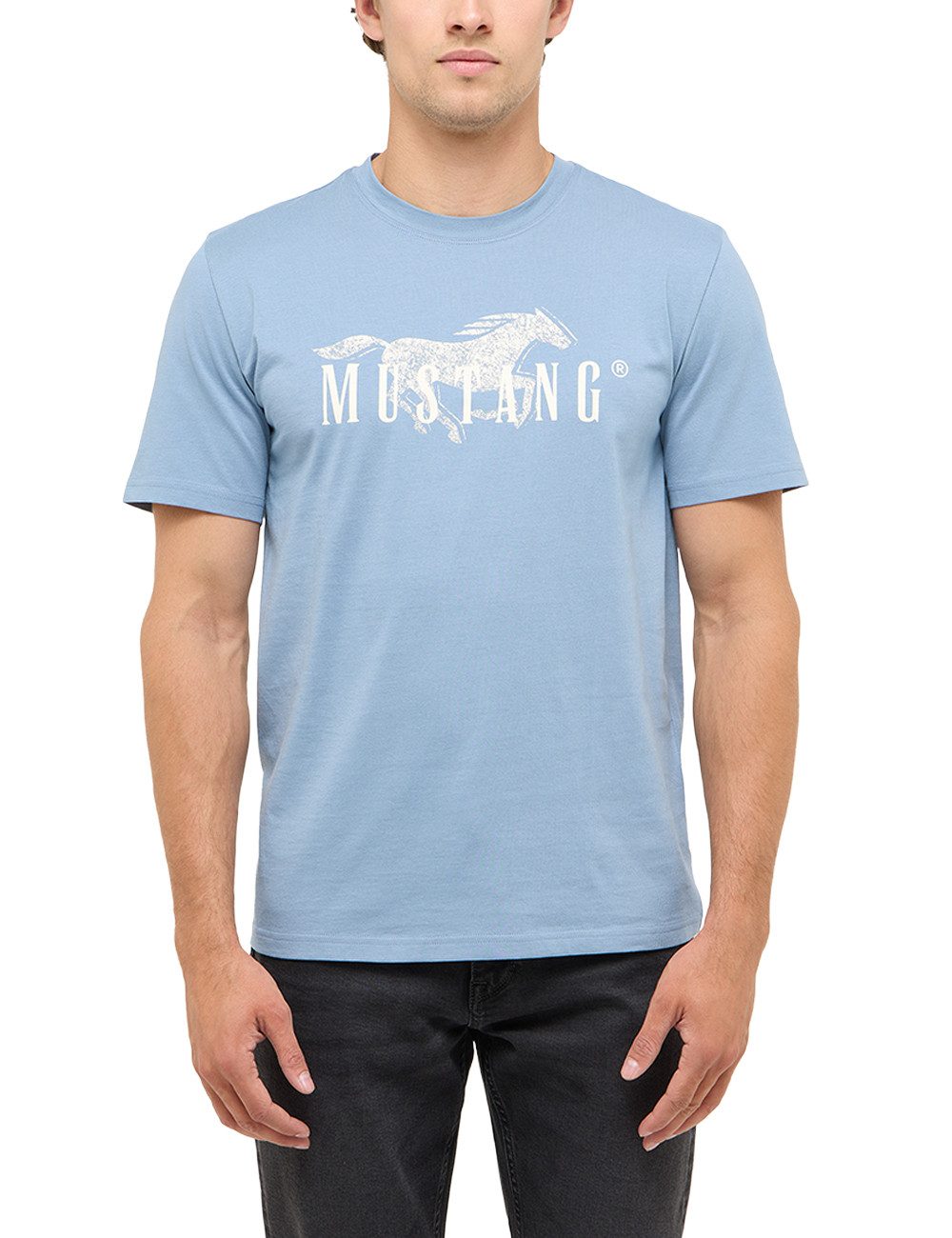 Kurzarmshirt Herren Style Austin