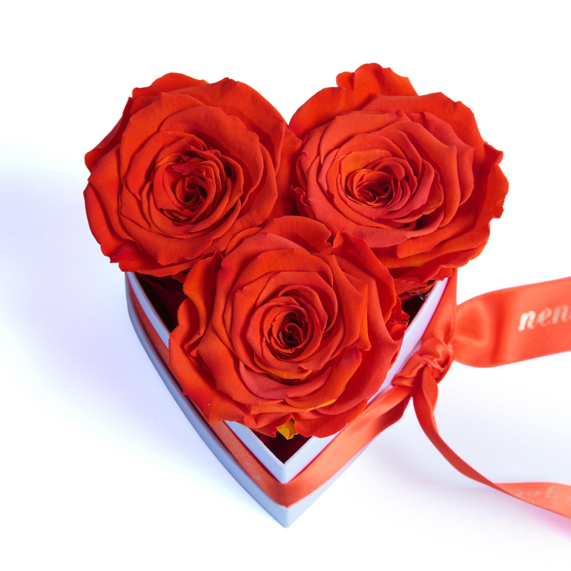 Kunstblume Mama Geschenk Du bist mein Herz Box 3 unendliche Rosen Rose, ROSEMARIE SCHULZ Heidelberg, Höhe 10 cm, echte Blumen 3 Jahre haltbar, Made in Germany