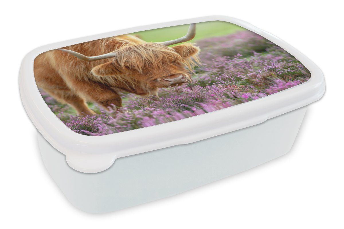 MuchoWow Lunchbox Schottischer Highlander - Lila - Blumen, Kunststoff, (2-tlg), Brotbox für Kinder und Erwachsene, Brotdose, für Jungs und Mädchen weiß