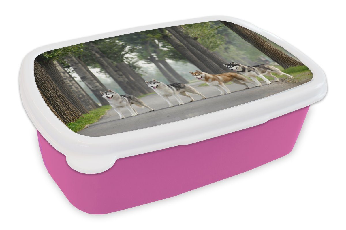 MuchoWow Lunchbox Vier Huskys zwischen den Bäumen, Kunststoff, (2-tlg), Brotbox für Erwachsene, Brotdose Kinder, Snackbox, Mädchen, Kunststoff rosa