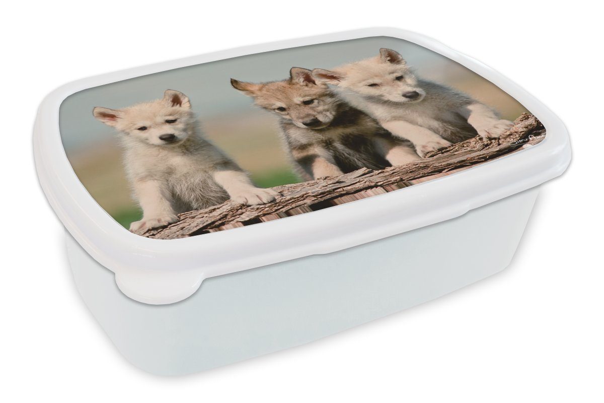 und weiß Kunststoff, - Mädchen Holz, (2-tlg), für und Erwachsene, Brotbox für Jungs Brotdose, MuchoWow - Wolf Kind Lunchbox Kinder