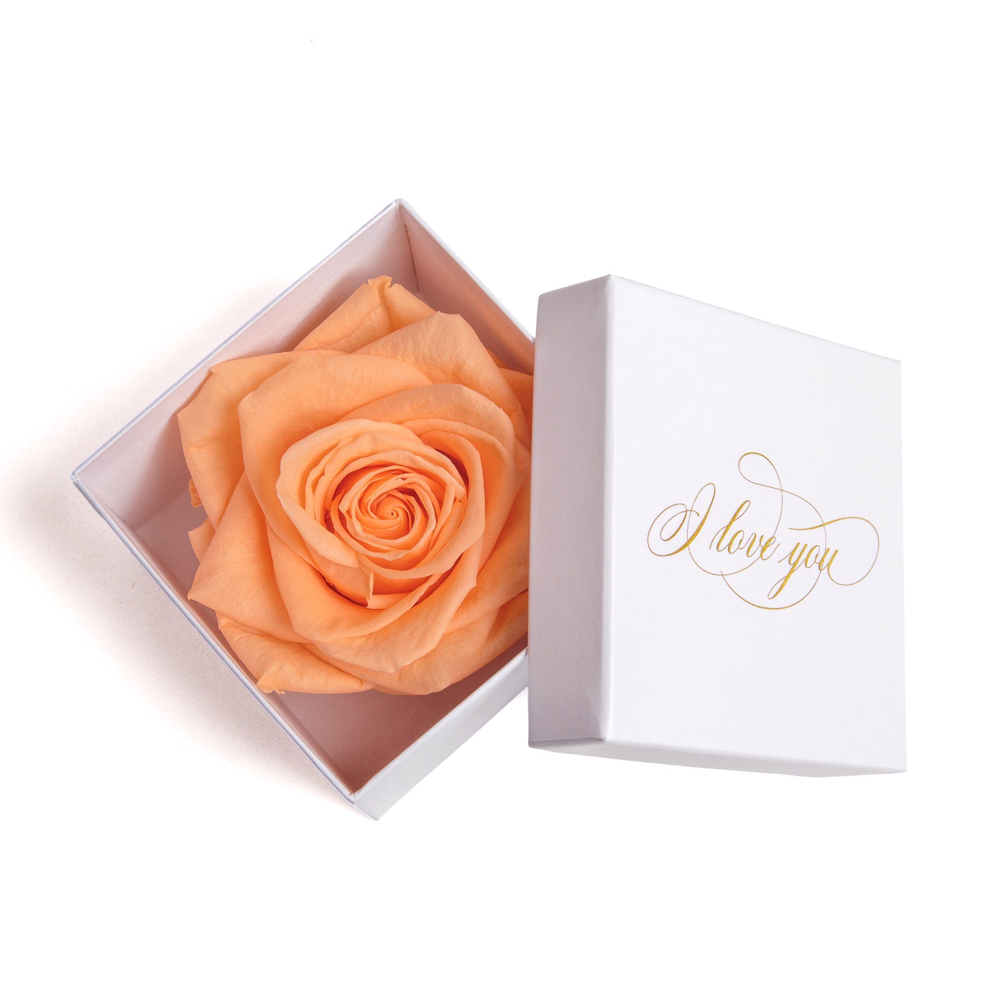 Kunstblume Infinity Rose in Box weiß I LOVE YOU Geschenk Frauen Liebesbeweis Valentinstag Rose, ROSEMARIE SCHULZ Heidelberg, Höhe 6 cm, Rose haltbar bis zu 3 Jahre peach