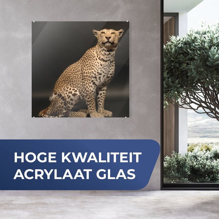 MuchoWow Acrylglasbild Leopard - Tiere - Fleck (1 St) Dekorative Bild für Küche &amp; Wohnzimmer auf Glas SY12407