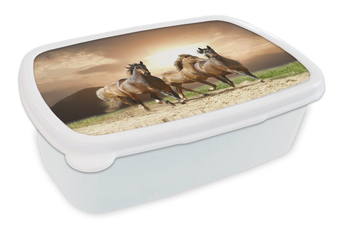 MuchoWow Lunchbox Pferde - Sand - Sommer, Kunststoff, (2-tlg), Brotbox für Kinder und Erwachsene, Brotdose, für Jungs und Mädchen weiß