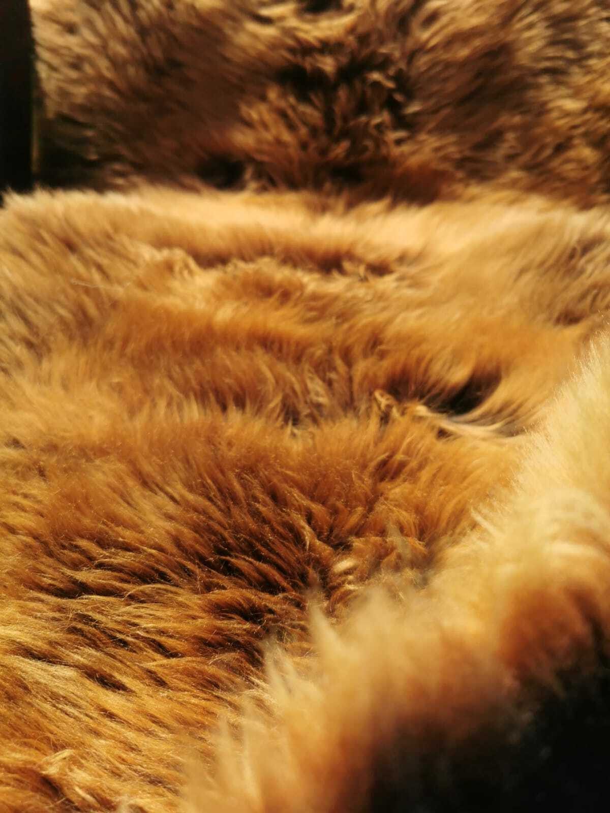 Provellus Fellteppich Lammfell Schaffell Gold Braun Dichte Wolle Unikat L-X günstig online kaufen