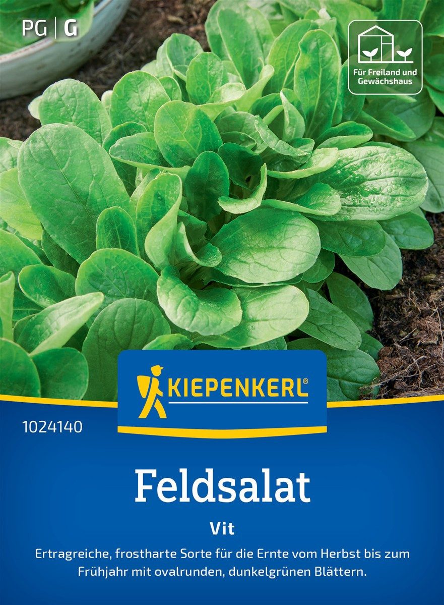 Pflanzen für Dich Gemüsesamen Feldsalatsamen Vit Valerianella locusta 15 lfd. Meter