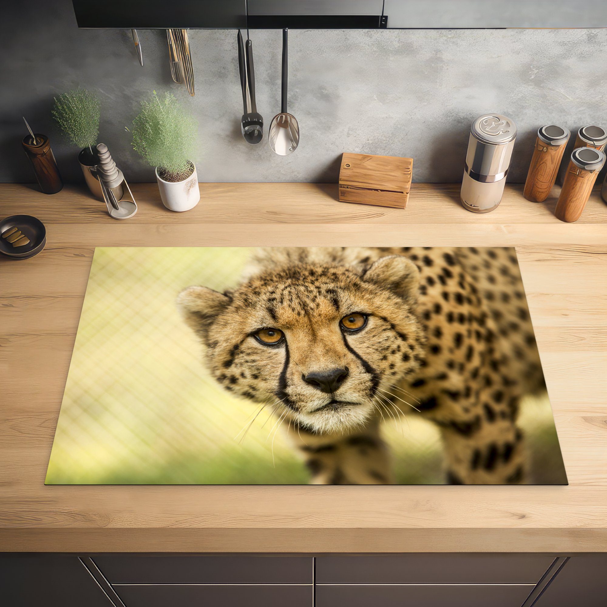 - Tier, Schutz - küche, die 81x52 Vinyl, Induktionskochfeld Ceranfeldabdeckung Leopard Herdblende-/Abdeckplatte tlg), MuchoWow (1 für cm, Gepard