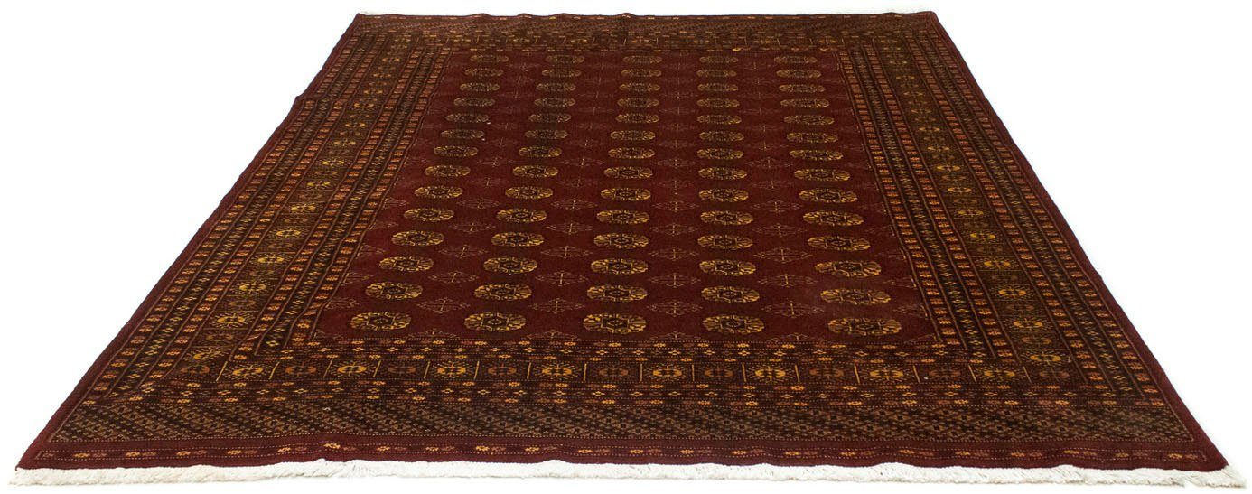 Wollteppich Buchara Durchgemustert Rosso 248 x 197 cm, morgenland, rechteckig, Höhe: 7 mm, Unikat mit Zertifikat | Kurzflor-Teppiche