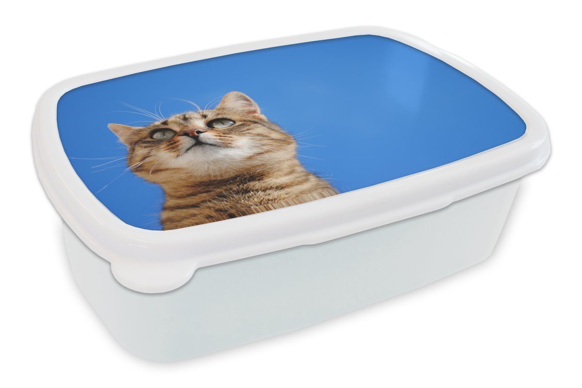 MuchoWow Lunchbox Katze - Braun - Luft - Mädchen - Jungen - Kinder, Kunststoff, (2-tlg), Brotbox für Kinder und Erwachsene, Brotdose, für Jungs und Mädchen weiß | Lunchboxen